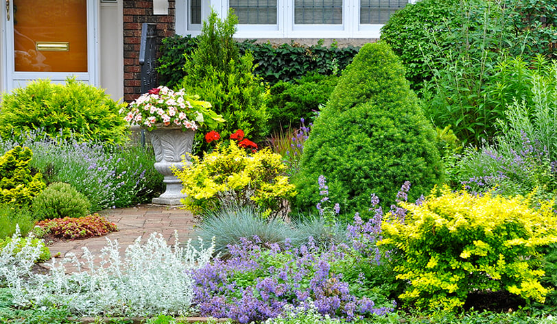 How Your Yard Can Save You Money