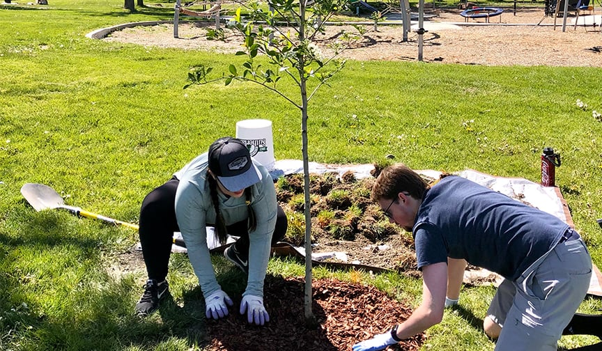Cyprus employees plant tree in Salt Lake City